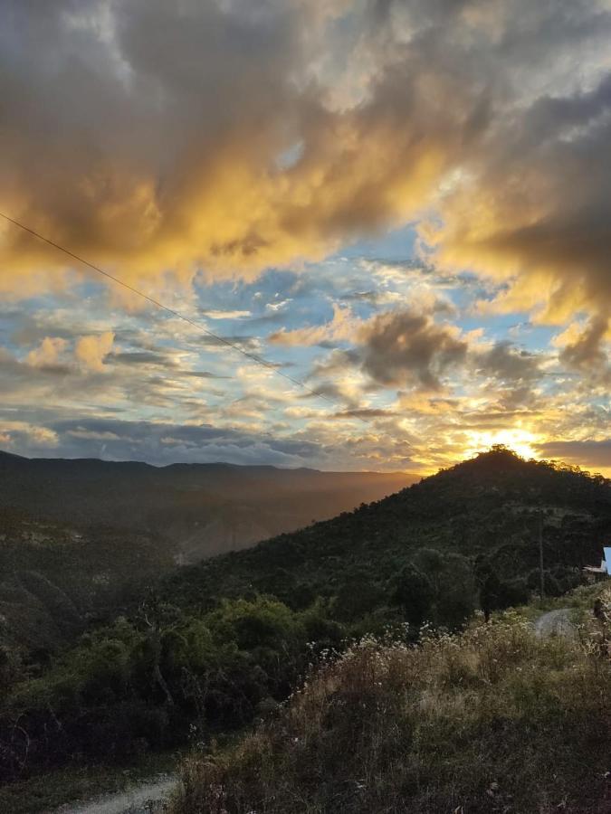 Refugio Das Araucarias Урубиси Экстерьер фото