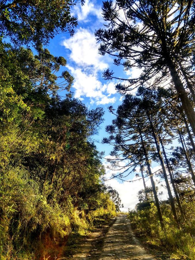 Refugio Das Araucarias Урубиси Экстерьер фото