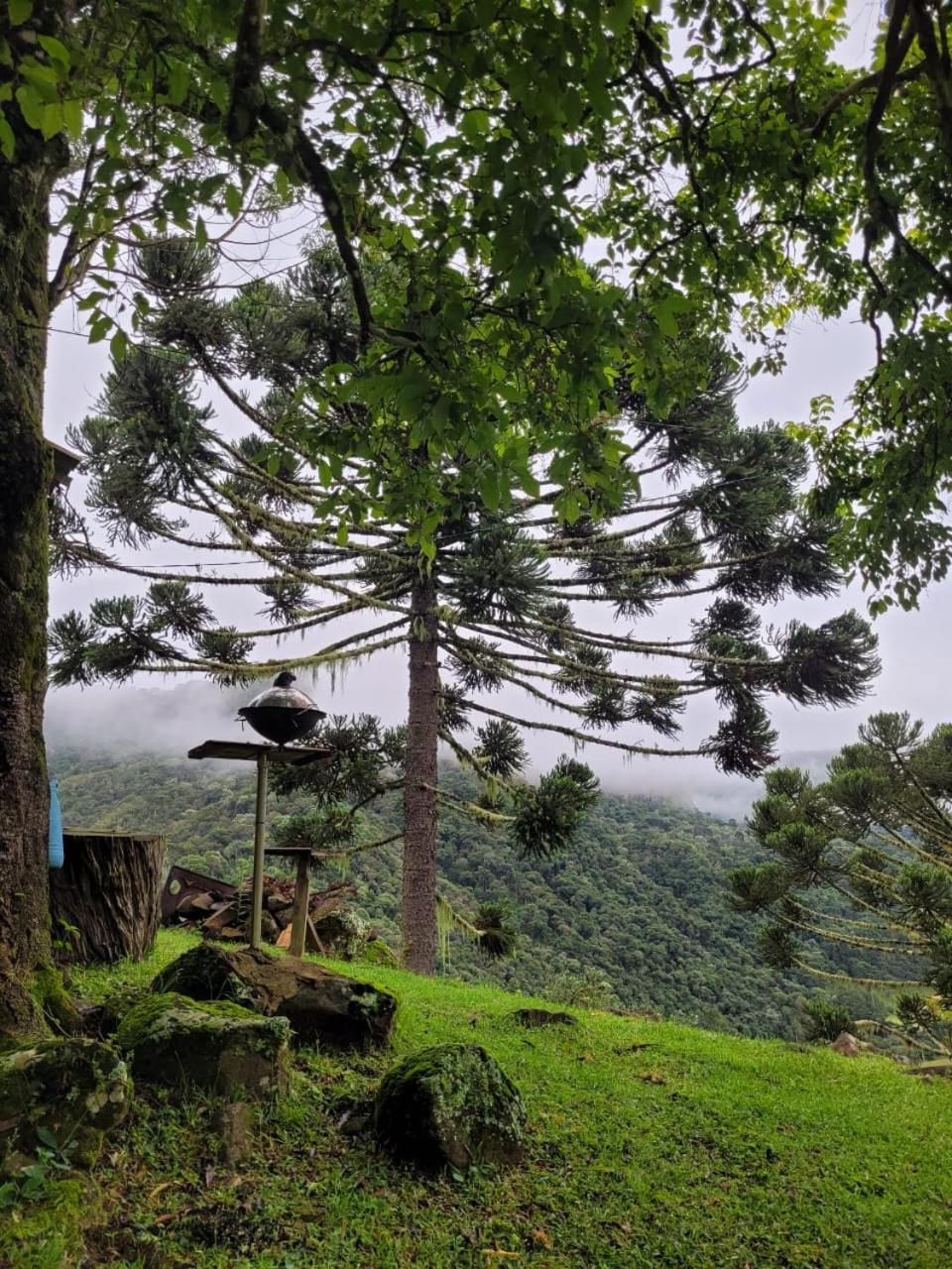 Refugio Das Araucarias Урубиси Экстерьер фото
